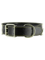 Kakadu Pet Boxer Studded Leather Collar