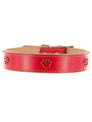 Kakadu Pet Paw Print Decorative Leather Collar