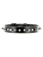 Kakadu Pet Spike Studded Leather Collar