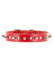 Kakadu Pet Spike Studded Leather Collar