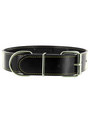 Kakadu Pet Punk Pooch Studded Leather Collar