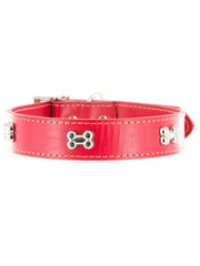 Kakadu Pet Give a Dog a Bone Decorative Leather Collar