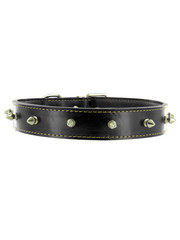 Kakadu Pet Studly Studded Leather Collar