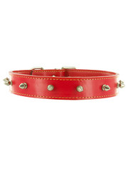 Kakadu Pet Studly Studded Leather Collar