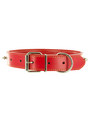 Kakadu Pet Studly Studded Leather Collar