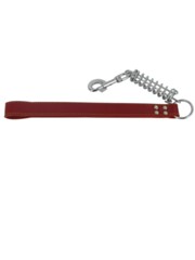 Kakadu Pet Springer Lead