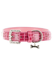Kakadu Pet Park Avenue Collar