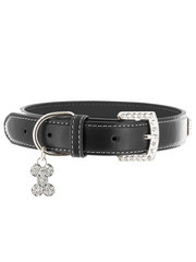 Kakadu Pet 5th Avenue Collar