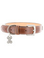 Kakadu Pet 5th Avenue Collar
