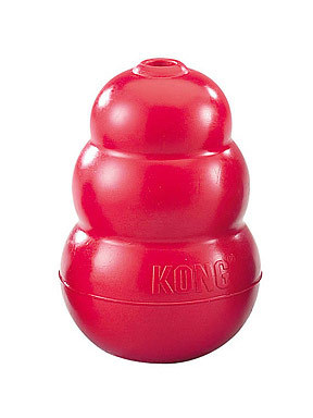 Kong Company Original Red Kong for Dogs
