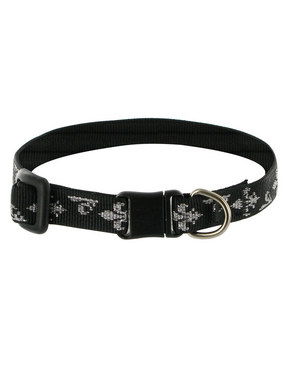 Lupine Silver Charm Breakaway Cat Collar