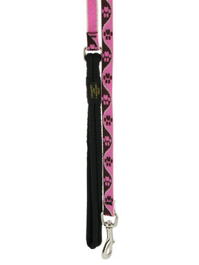 Lupine Tickled Pink Lead