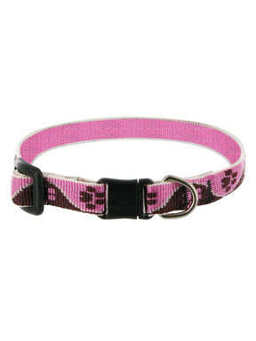 Lupine Tickled Pink Breakaway Cat Collar