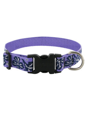 Lupine Surf Pup Dog Collar