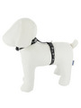 Lupine Silver Charm H-Style Harness