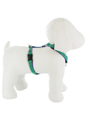 Lupine Atlantis Roman Harness