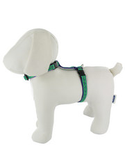 Lupine Atlantis H-Style Harness