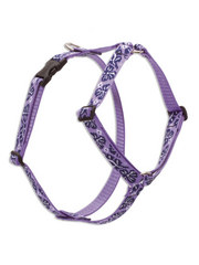 Lupine Surf Pup Roman Harness