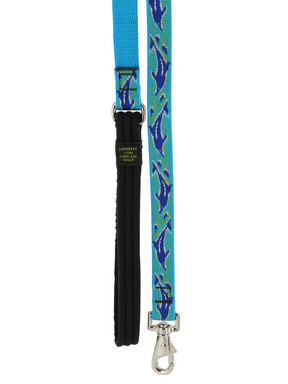 Lupine Dolphin Bay Lead