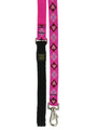 Lupine Puppy Love Lead