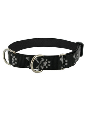 Lupine Bling Bonz Combo Collar
