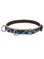 Lupine Muddy Paws Combo Collar
