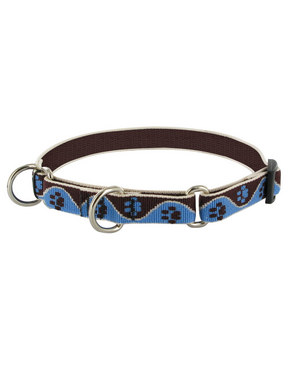 Lupine Muddy Paws Combo Collar