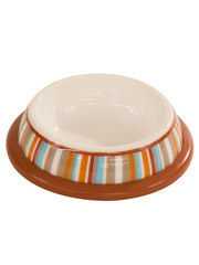 New Age Pet University Collection Bowl - Stripe