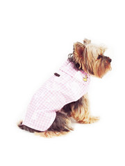New York Dog Gingham Rain Slicker