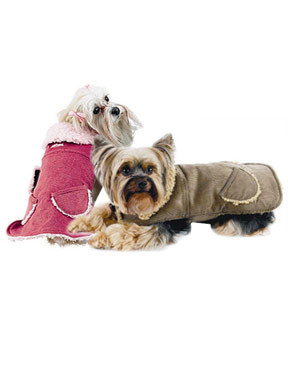 New York Dog Corduroy Coat