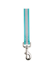 Pet Edge Reflective Lead