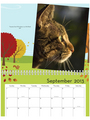 2013 Pet Shed Calendar