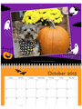 2013 Pet Shed Calendar
