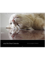 2013 Pet Shed Calendar