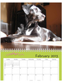 2013 Pet Shed Calendar