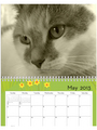 2013 Pet Shed Calendar