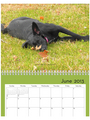 2013 Pet Shed Calendar
