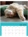 2013 Pet Shed Calendar
