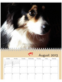 2013 Pet Shed Calendar