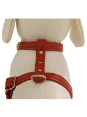 PJ Fox Topgrain Leather Roman Harness
