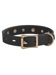 PJ Fox Topgrain Leather Collar with Diamonds