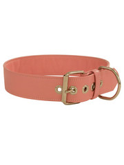 PJ Fox Big Dog Leather Collar