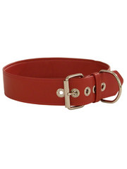 PJ Fox Big Dog Leather Collar