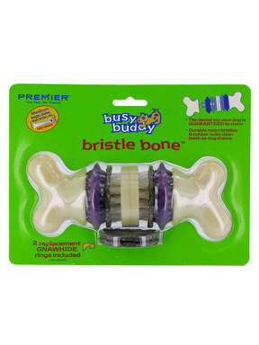 Premier Pet Bristle Bone Dental Toy