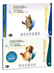 Revolution Flea & Heartworm Control