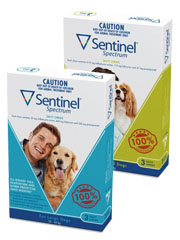 Sentinel Spectrum Chewables