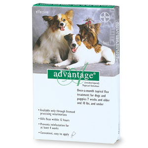 Can U Use Dog Advantage On Cats Can U Use Dog Advantage On Cats